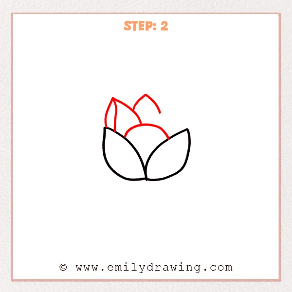 how to draw a lotus flower - Step 2